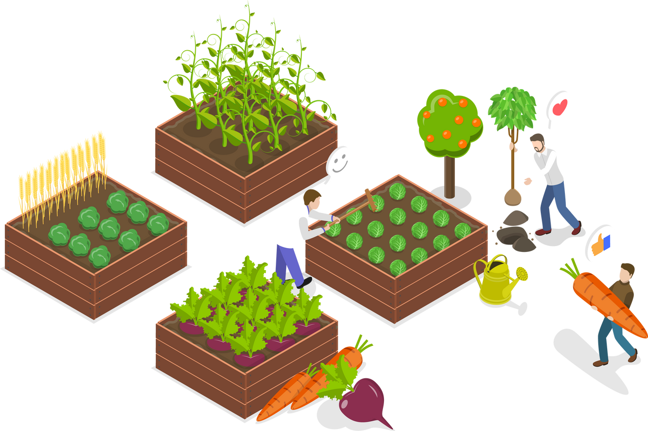 3D Isometric Flat Conceptual Illustration of Organic Agriculture